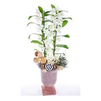 Ceramic Dendrobium Orkide