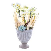 Cup Effect White