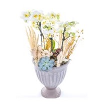 Cup Effect White