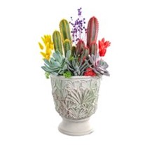 Yellow & Red Cactus