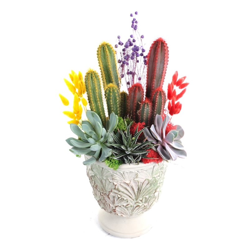 Yellow & Red Cactus