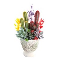 Yellow & Red Cactus