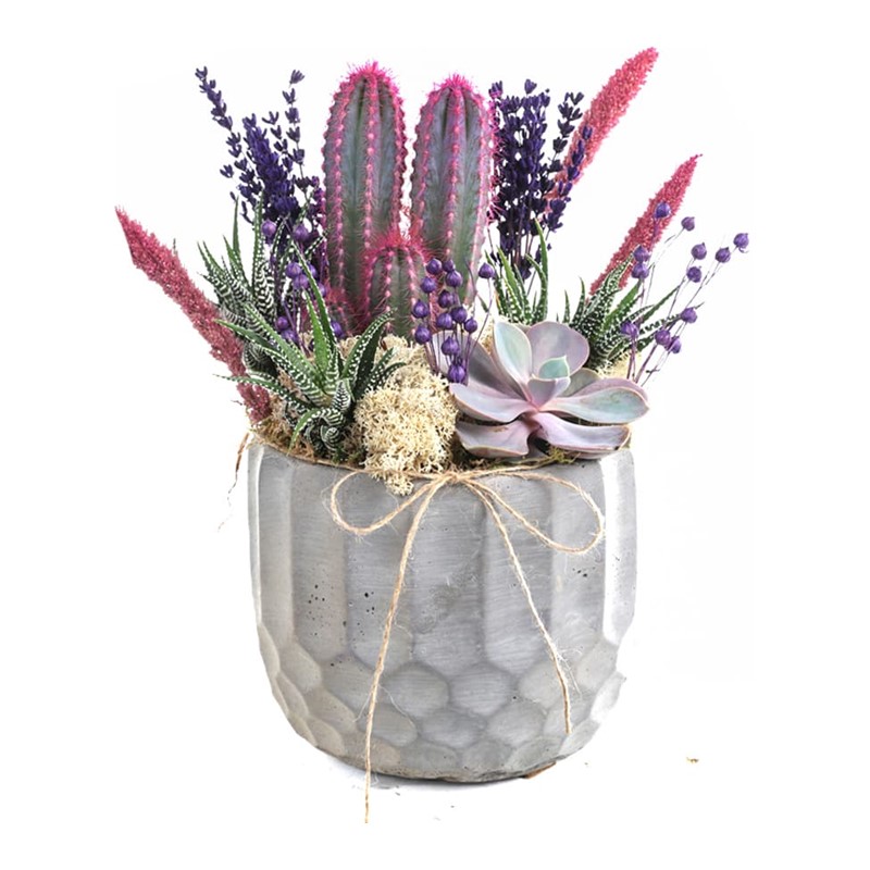 Purple Garden