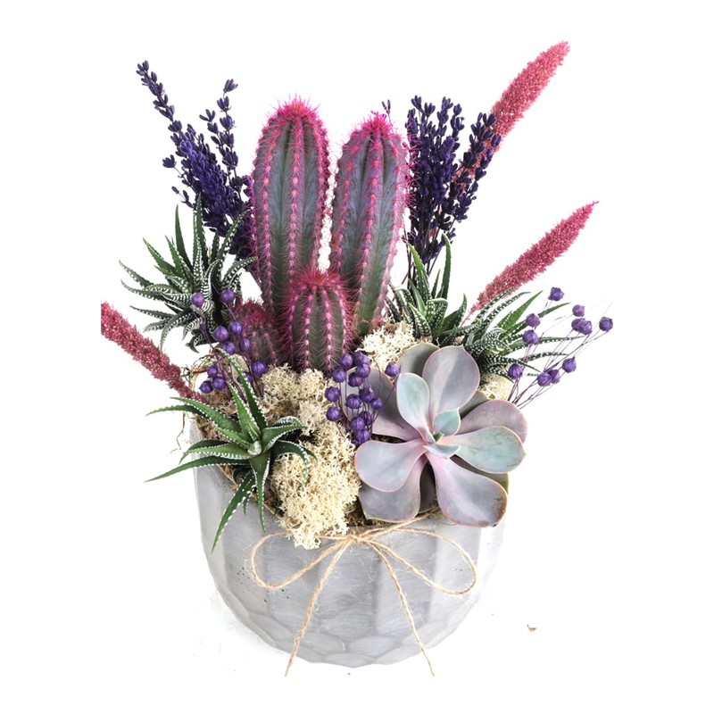 Purple Garden