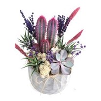 Purple Garden