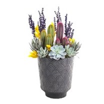 Yellow & Purple Garden