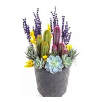 Yellow & Purple Garden