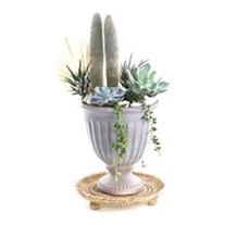 White Angel Garden