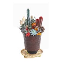 Desert Effect Garden