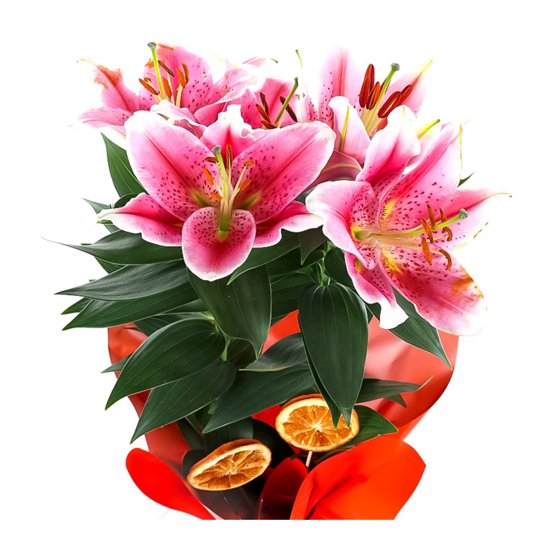 Pembe Kokulu Lilyum Çiçeği