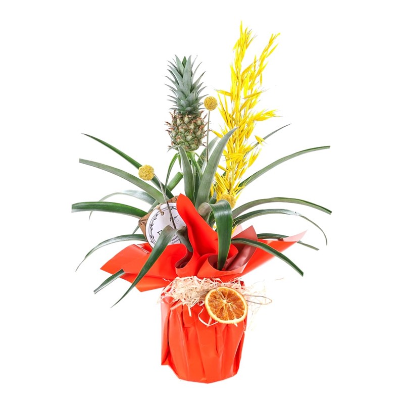 Sunny Ananas Glow