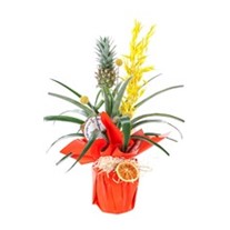 Sunny Ananas Glow