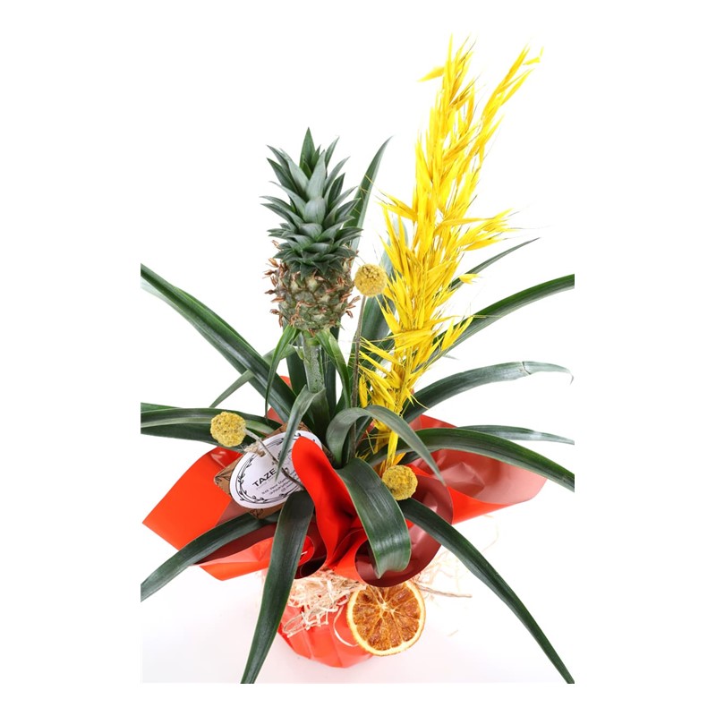 Sunny Ananas Glow