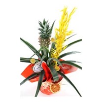 Sunny Ananas Glow