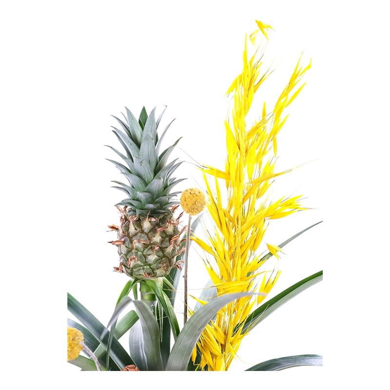 Sunny Ananas Glow