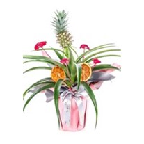 Tasty Ananas Glow