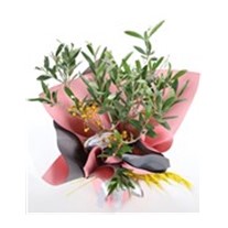 Altın Işık Zeytin Ağacı 40cm