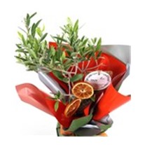 Yeşil Cennet Zeytin Ağacı 40cm