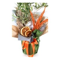 Doğa Mucizesi Zeytin Ağacı 40cm