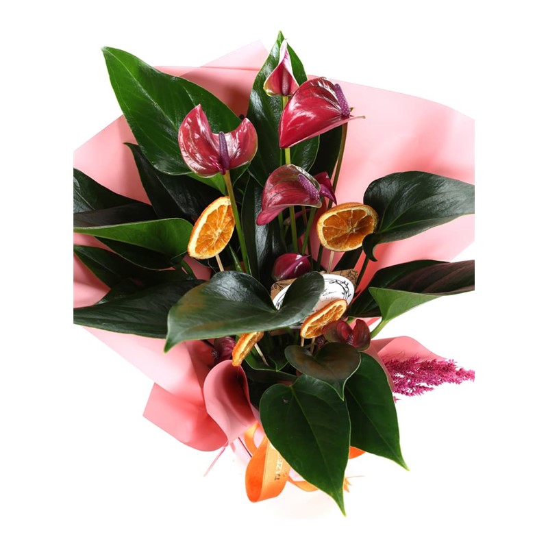 Pink Passion Anthurium