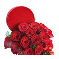 Romantic Velvet Joy Gül Kutusu