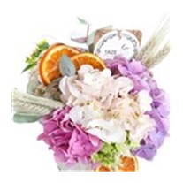 Fresh Seasons Ortanca