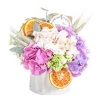 Fresh Seasons Ortanca