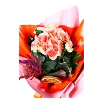 Pink Begonya Serenity