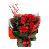 Begonya Love