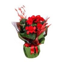 Begonya Love