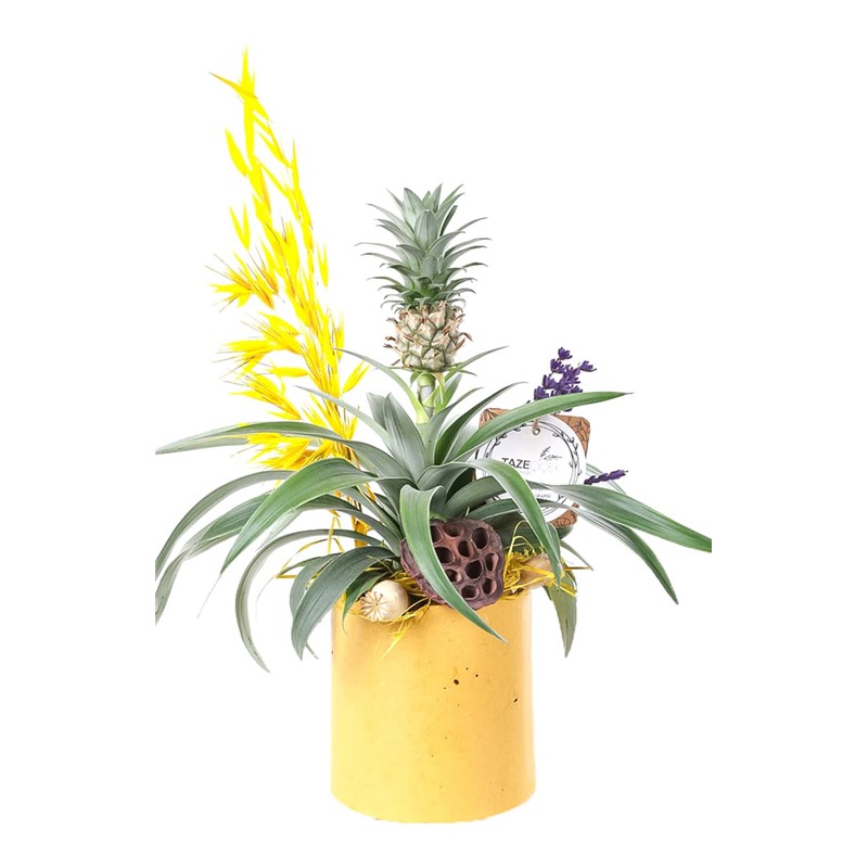 Golden Pineapple