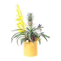 Golden Pineapple