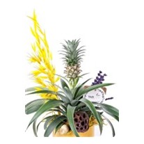 Golden Pineapple