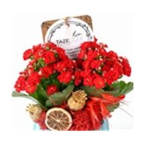 Red Art Kalanşo