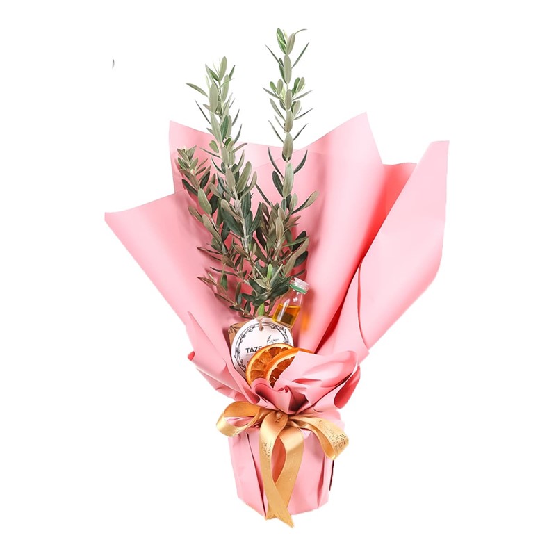 Olive Melody Zeytin Ağacı 30cm