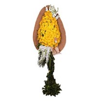 Renkli Kutlama Sarı Gerbera Tek Katlı Çelenk