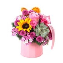 Girasol&Succulents Mix Aranjman