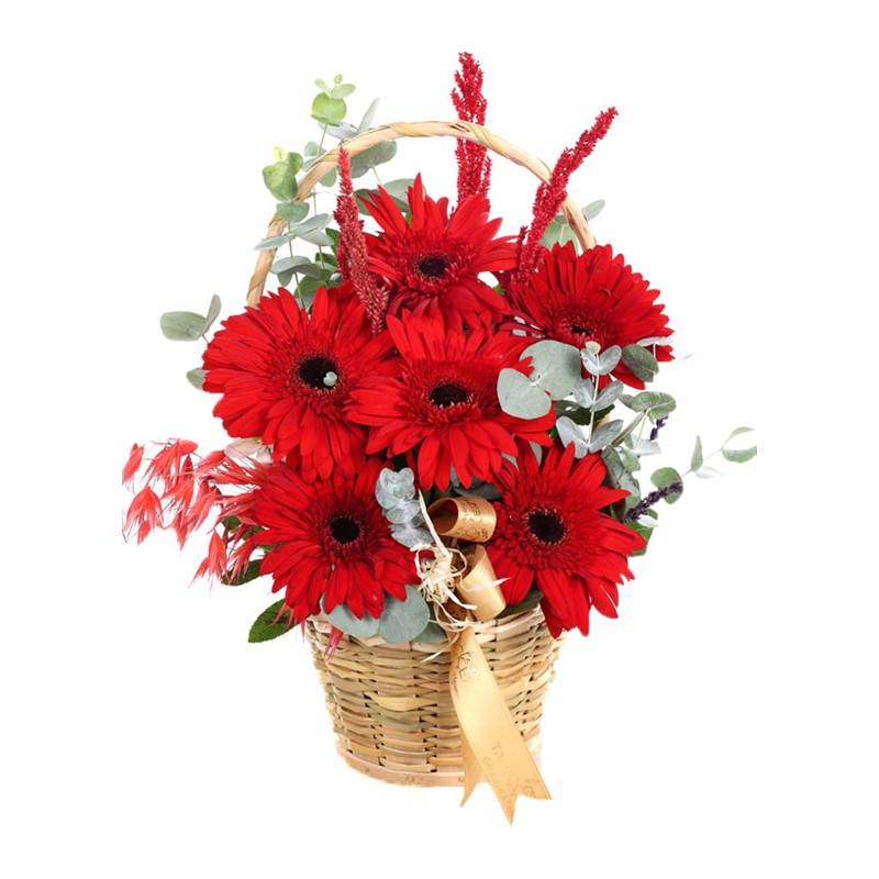 Dewdrop Bliss Kırmızı Gerbera Aranjmanı