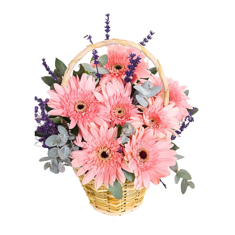 Sweet Suprise Pembe Gerbera Aranjmanı