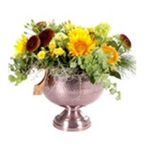 Cheerful Sunflowers