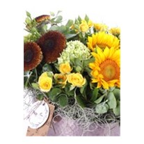 Cheerful Sunflowers