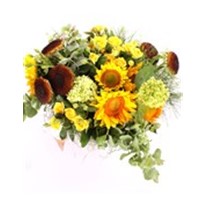 Cheerful Sunflowers