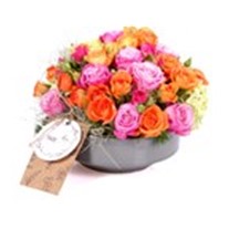 Rose Radiance Renkli Güller