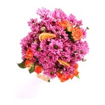 Dolce Roses & Papatyalar