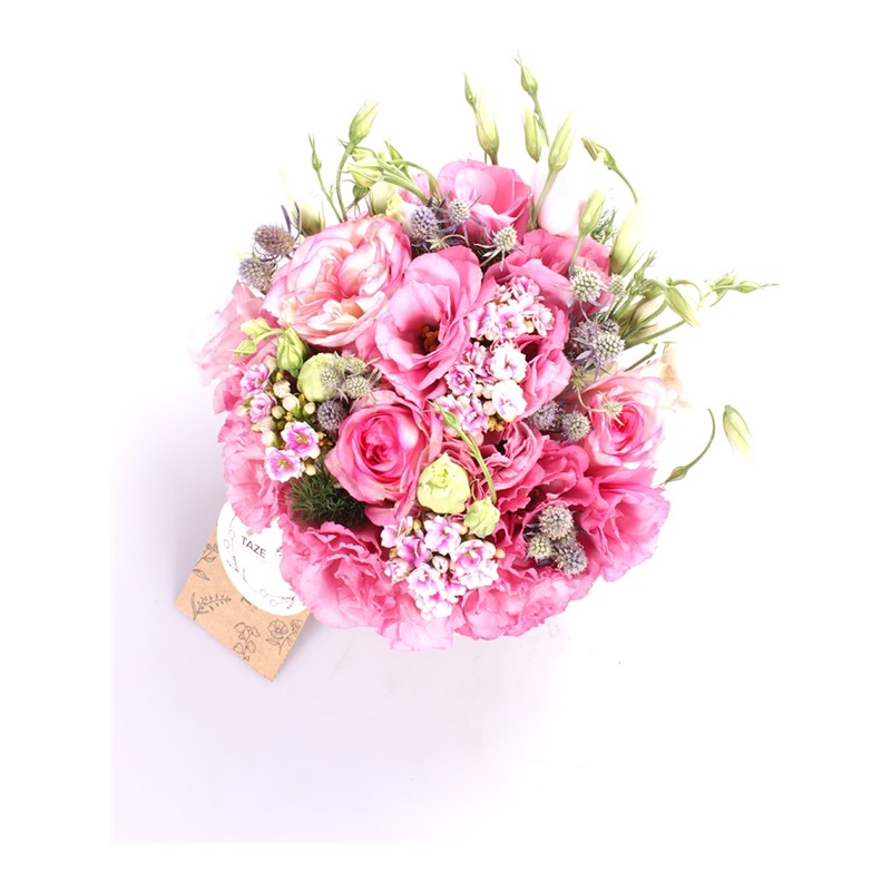 Like Pretty Pembe Lisyantuslar