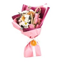Soft Pink Papatya Buketi