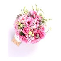 Like Pretty Pembe Lisyantuslar