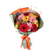 Colorburst Charm Gerbera Buketi