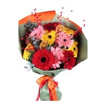 Colorburst Charm Gerbera Buketi