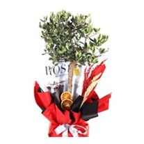 Olive Branch-60cm Zeytin Ağacı